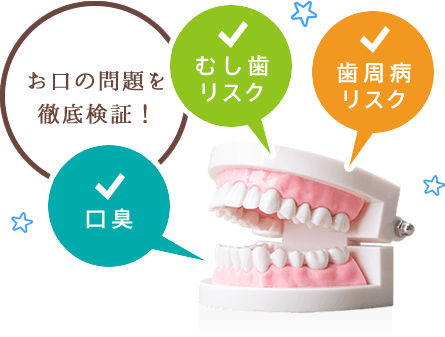 お口の問題を徹底検証!