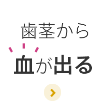 歯茎から血が出る